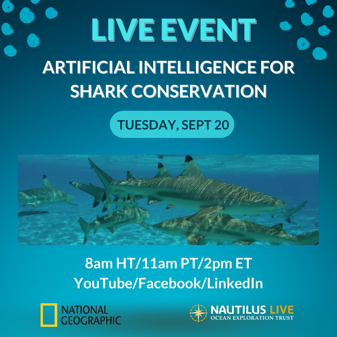 EVNautilus's tweet photo. Join @InsideNatGeo’s Shark Research Team and OET for a free, virtual #LIVEevent highlighting the awesome #shark #artifcialintelligence work being done onboard #EVNautilus during the first two legs of the #FromShoretotheAbyss Program. https://t.co/4ykO1vkN2y