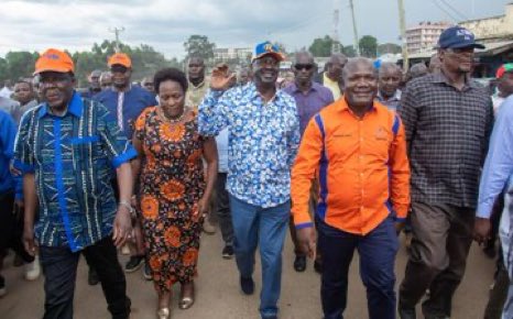 The Raila Odinga Amolo Foundation tweet media