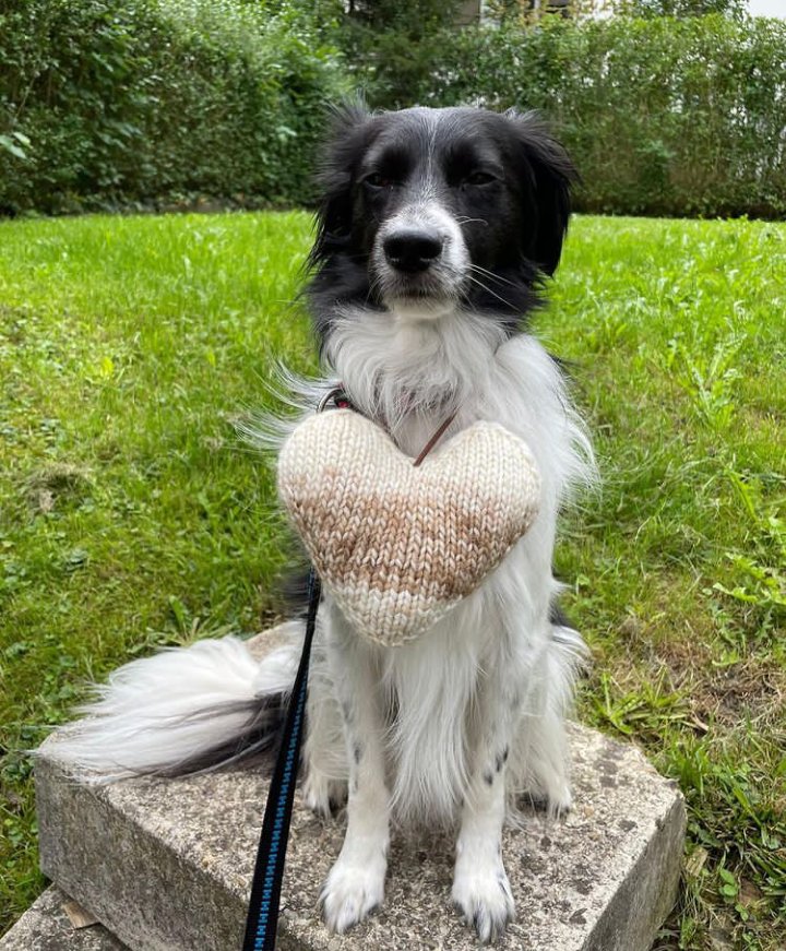 EsperandaV's tweet image. Ciao 👋