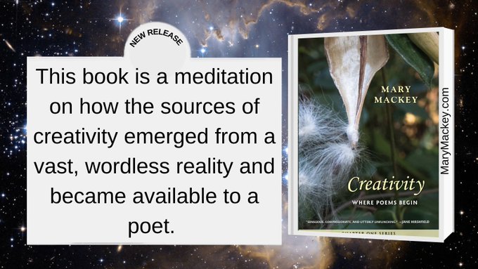 WomenWriters's tweet photo. Creativity: Where Poems Begin” | Great book for all #writers, not just poets. https://t.co/fv18UJX0BL #NewRelease #CreativityBook #WritingCommunity @MMackeyAuthor https://t.co/id2fn99sc7