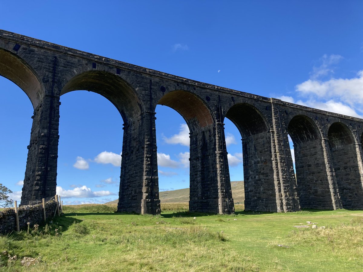 tracy wood tweet media