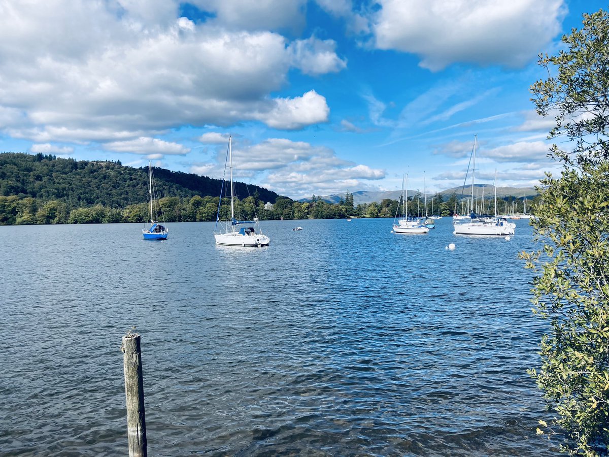 tracy wood tweet media