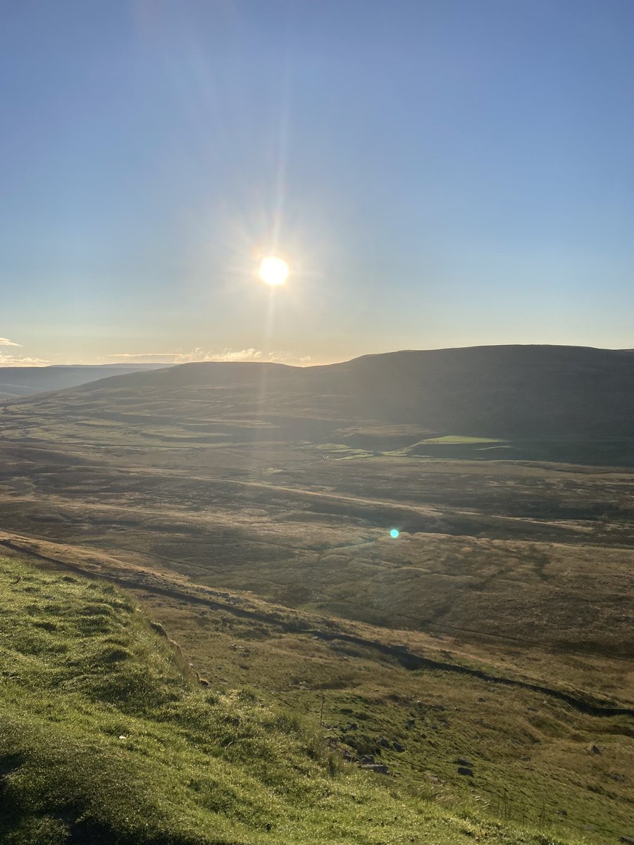 tracy wood tweet media