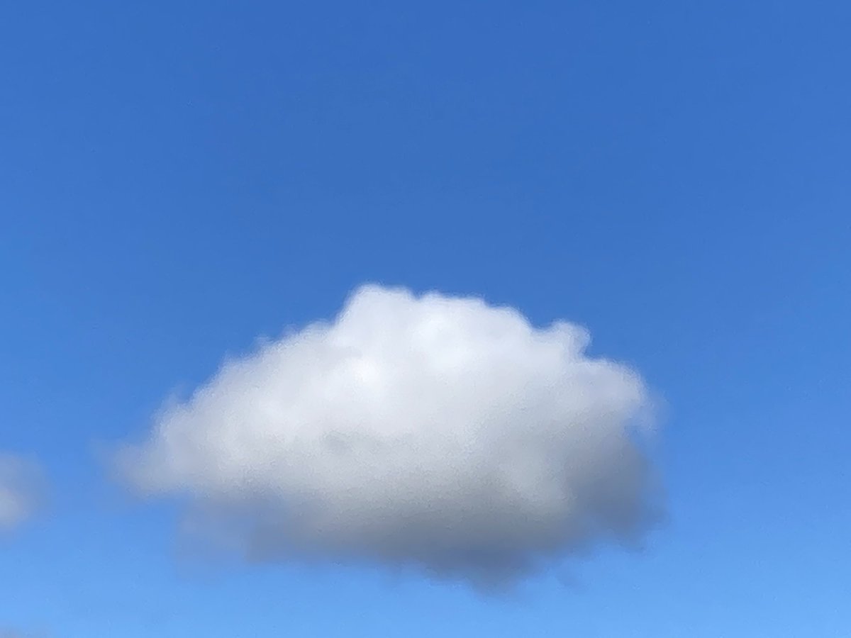 tracy wood tweet media