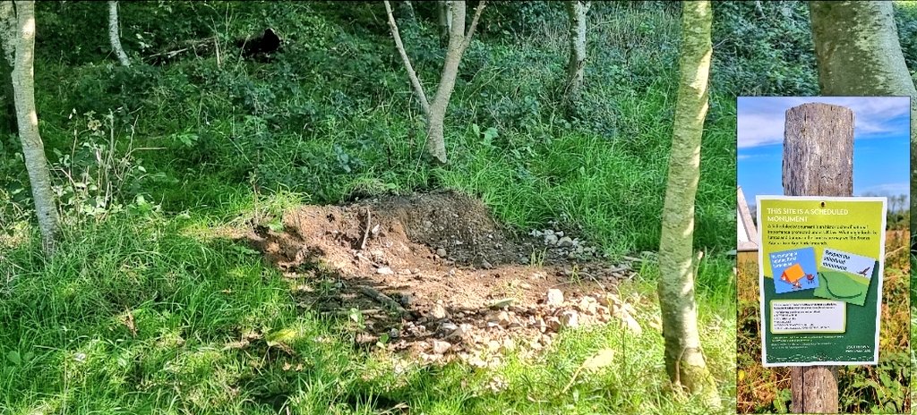 EdwardH08678864's tweet photo. A report has been made of a potential Heritage Crime regarding unexplained excavations at Chanctonbury Ring, Scheduled Ancient Monument.

Pls note the additional images are boards left laying around which potentially could be linked but it's unclear at this point in 🕐

#SCWops https://t.co/Y4LULRkGtr