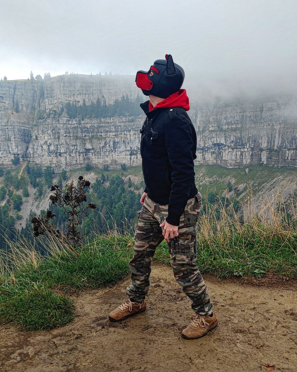 issei2251's tweet photo. Awrooo, geht weg ihr Wolken, awrooo 🐾🐾

#puppy #puppyontour #puppplay #instagayboy #instagay #wuffel https://t.co/FQwXaDfx4C