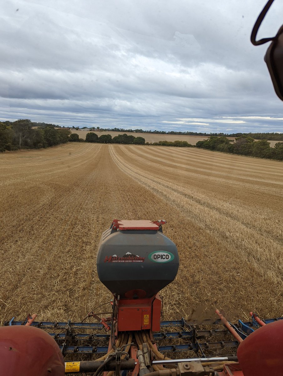 Made some fields stripy today! #covercrops