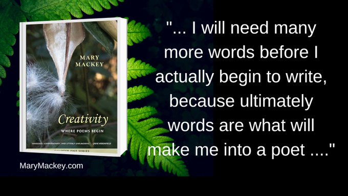 WomenWriters's tweet photo. Enjoy the first chapter of @MMackeyAuthor 's new book, “Creativity: Where Poems Begin.” https://t.co/jncPuwS0e9 #CreativityBook #NewRelease https://t.co/HP1q7wQk6K