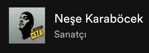 kafamın içinde şu şekil bi kargaşa var