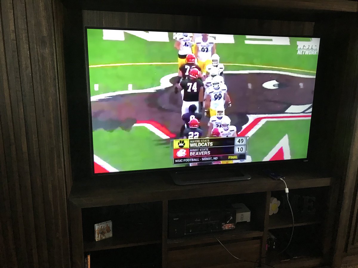 Nice W Cats  #forthepaw