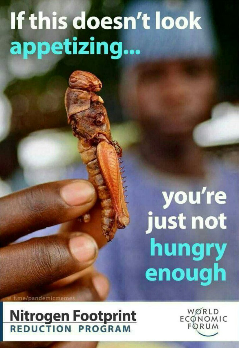 Ghaantaa's tweet photo. If this doesn't look appetizing...
you're
just not
hungry
enough
#wewantops #India #TheatreOwnersFavStarVijay #TOTLEI #HappyBdayModiji 
Purdue
Leicester
#TrudeauMustGo #AFLSwansPies #TheVoiceKids #SchlagdenStar #thestreamers #ArenaSuzuki 
#İSTvBJK #FreeJairme #KaizerChiefs #USA https://t.co/5qgXVhRbkU