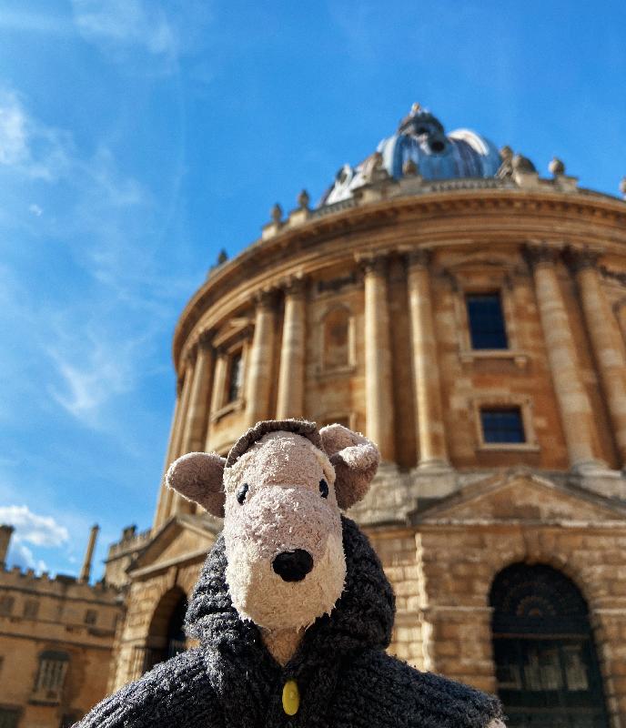 lostteddybear's tweet photo. Lost: Lost my schnauzer stuffed toy (pictured) in Oxford ... | Oxford | https://t.co/00jWZX1WBT #LostTeddy https://t.co/ZTCWABkPHM