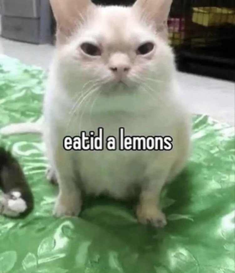 YouTube, I can’t speak Spanish! Stop giving me Spanish ads!!!