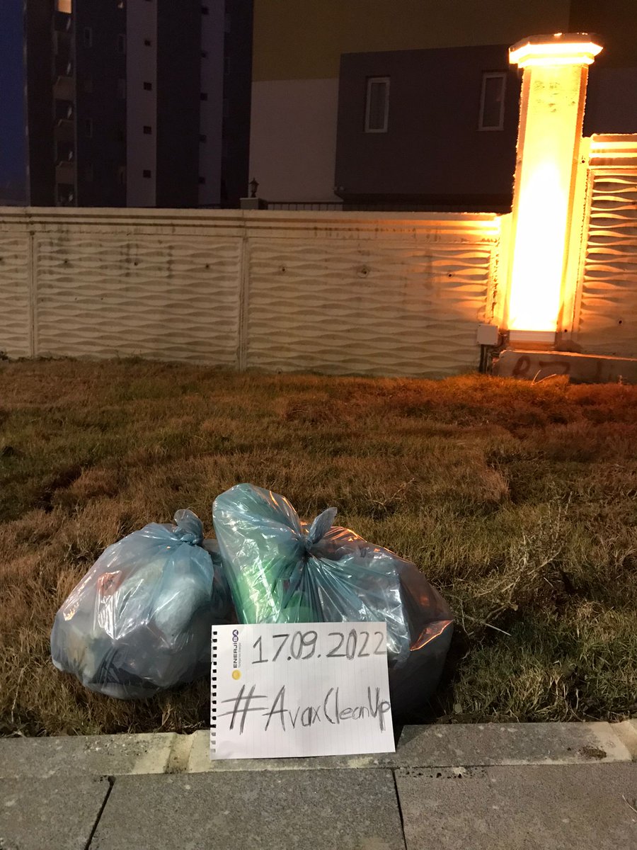 erk4nsrml's tweet photo. @friendforestnft @_SparkGM @chikn_nft A healthier weekend :)πΊ#AvaxCleanUp https://t.co/VU82DZlrmi