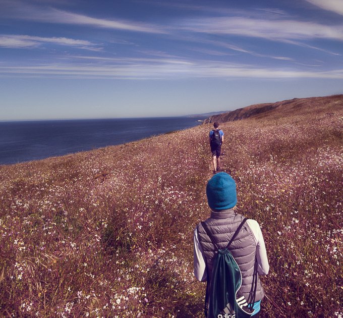 Square1Wellness's tweet photo. What's your plans for getting outside this weekend? #healthcoach #getoutside #getoutdoors #spendtimeinnature #pointreyes https://t.co/1dqvck7mMM
