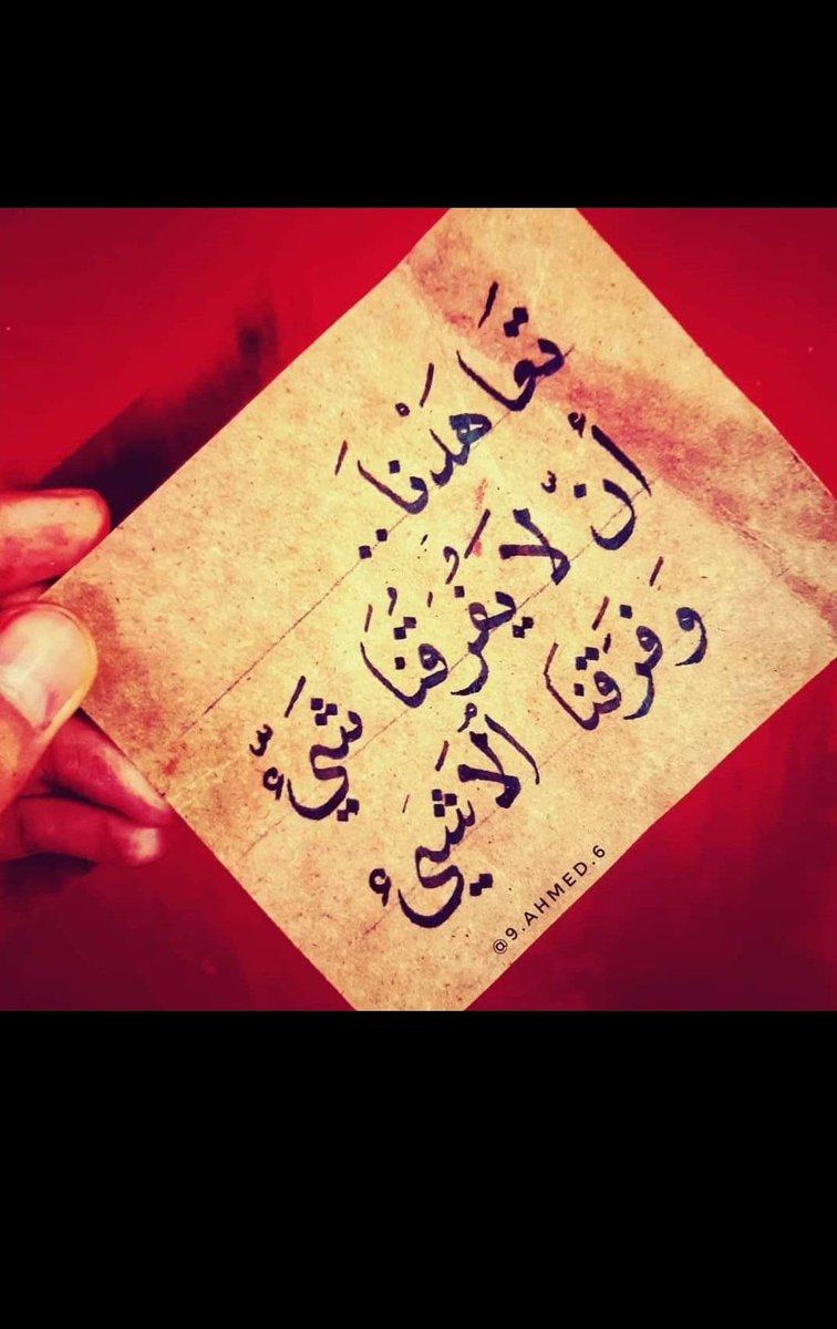 Ruqaia kamel tweet media