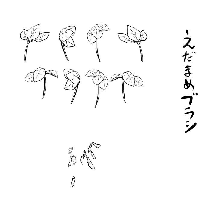 作ってる 