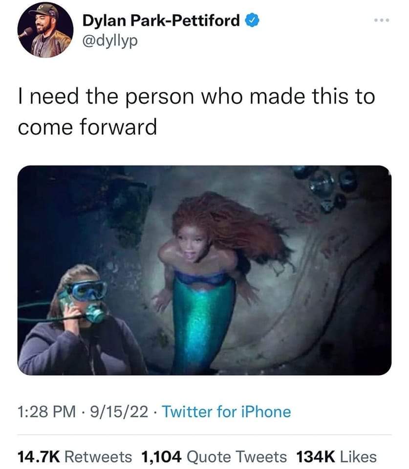 Mitch Kamerman tweet media