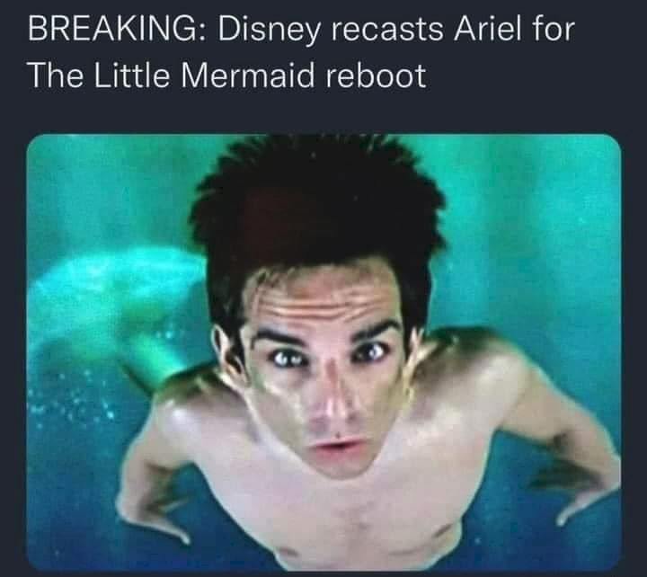 Moonlight Foyet© tweet media