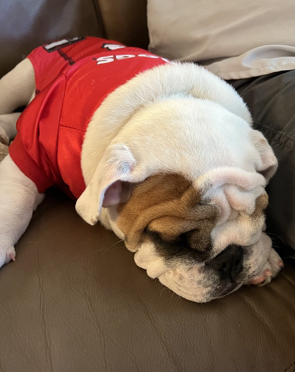 Miss Kelee Belle ate too much chicken!! ⁦GO DAWGS!!❤️🖤<a href="/KeleeRingo/">Kelee Ringo</a>⁩