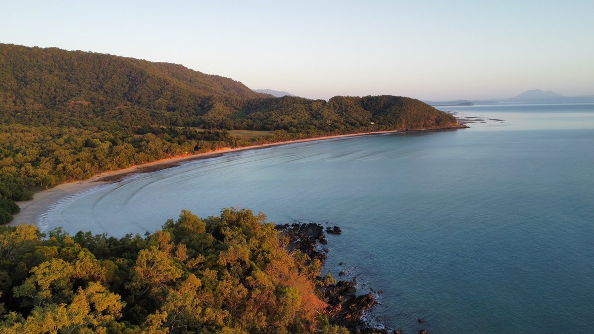 Golden morning light looking north from #thalabeach ✨ 🌿
.
.
.
.
.
.
 #exploreTNQ #portdouglasdaintree #portdouglas #thisisqueensland #thalabeach #seeaustralia #ecotourism #visitportdouglas #explorecairnsGBR #resort #travel #goodmorning #golden