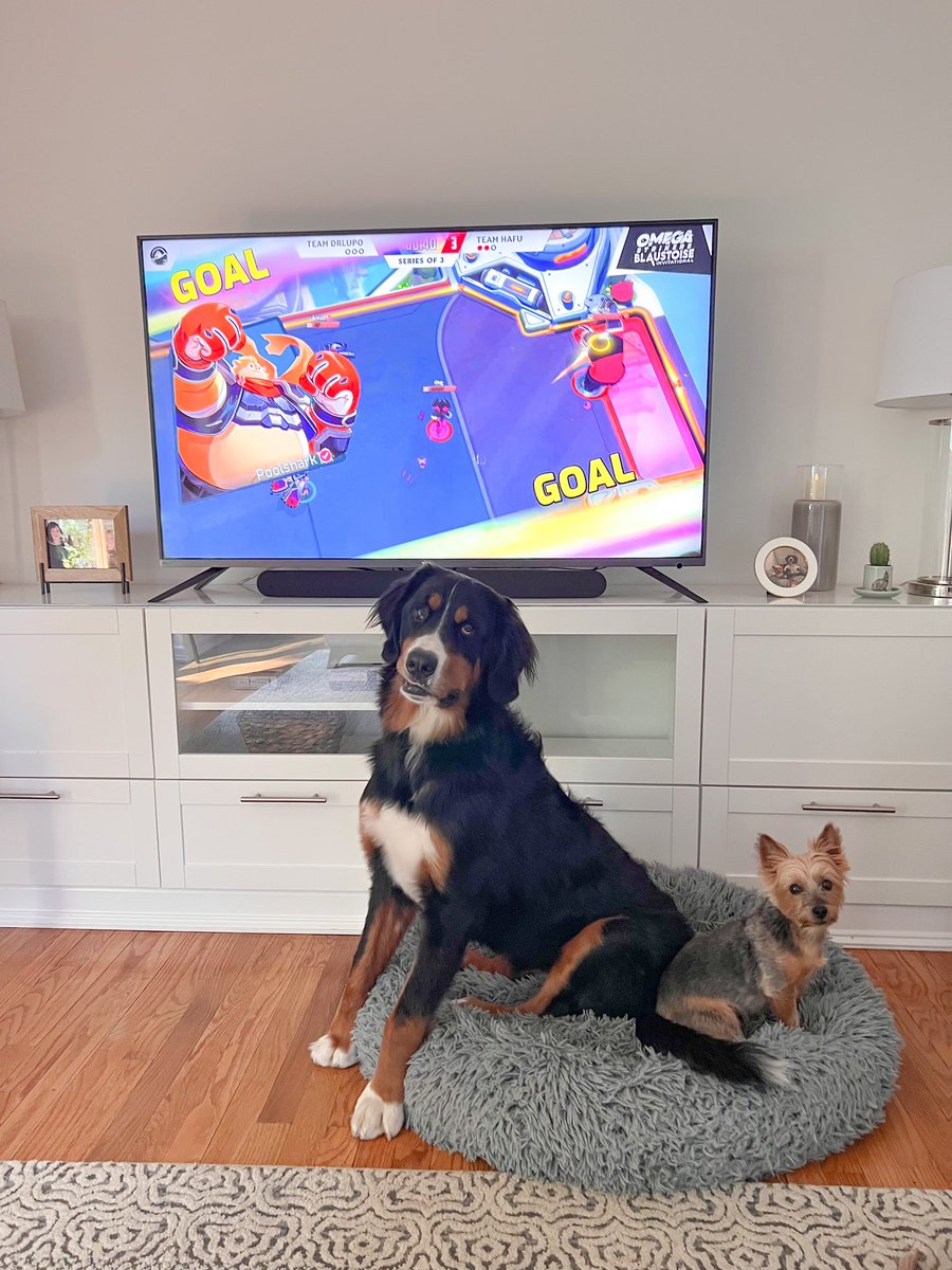 ohshecreates's tweet image. We’re all here for the the @PlayOmega Invitational today! So proud of the entire @WSDMStudios team for designing + producing this broadcast 🥰