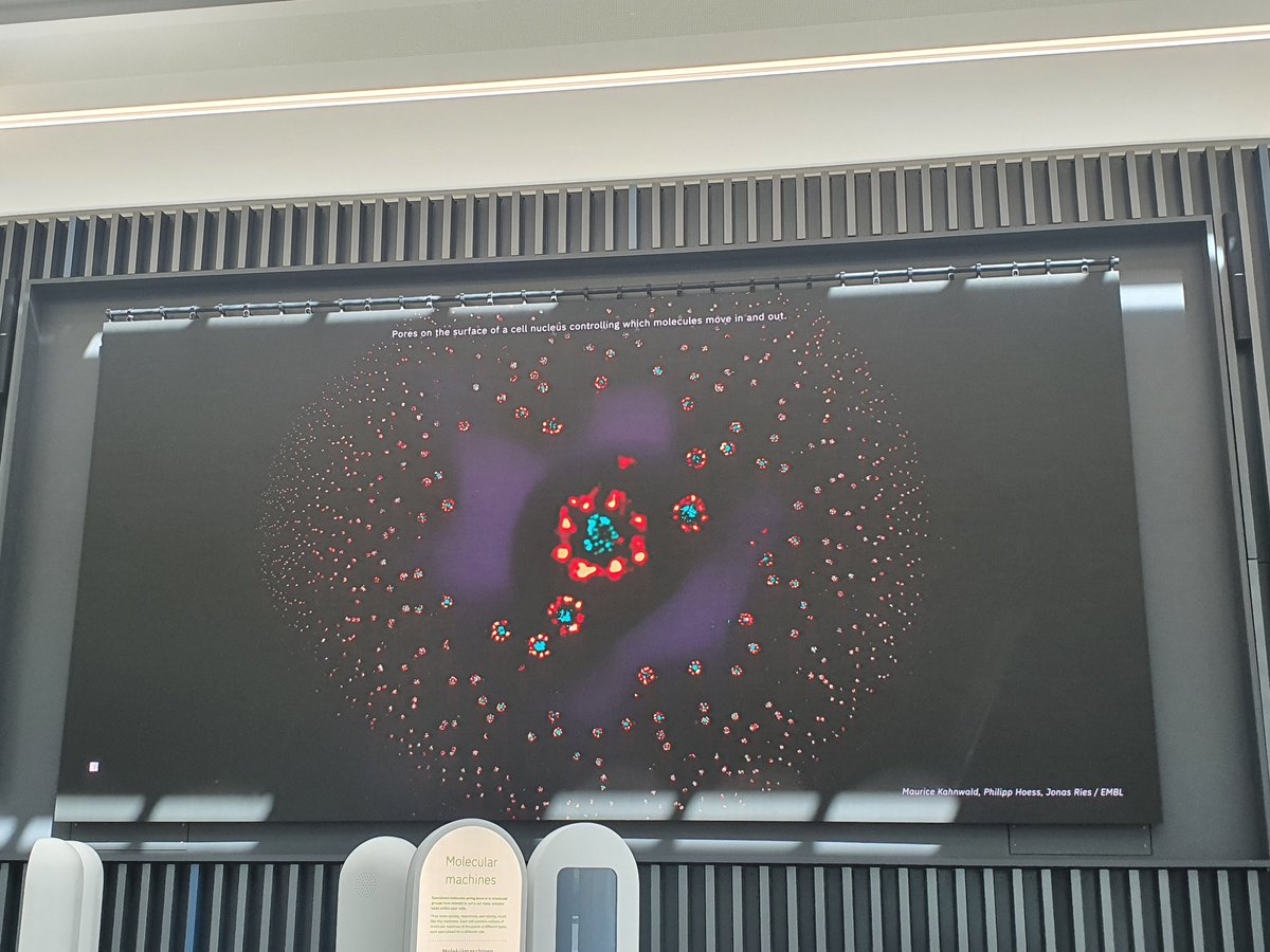 Last week, I could have the opportunity to participate in the #EMBOCellBiology course at @embl  with another 19 participants to learn the last microscopy techniques up to date with experts in the field.