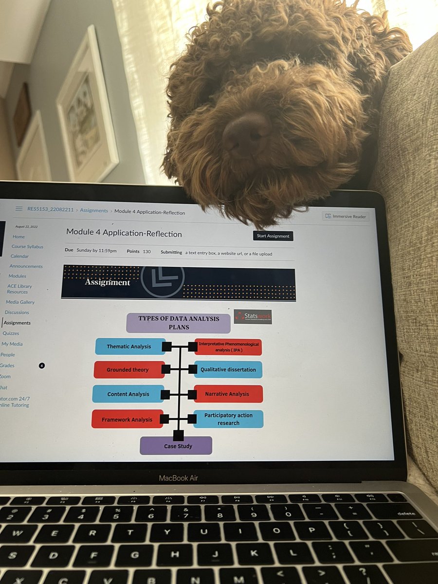 SierraMageeEDU tweet media