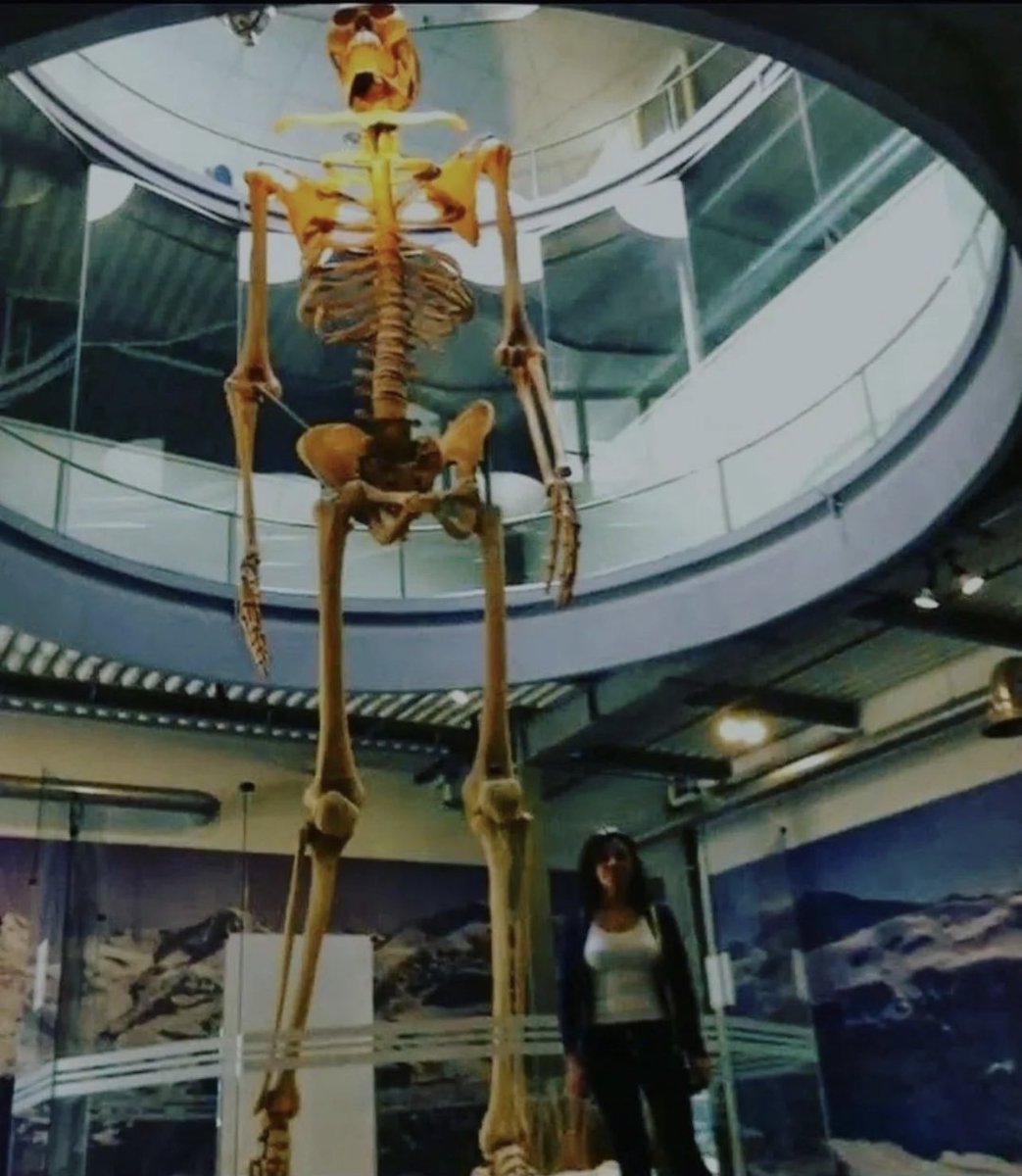 A giant skeleton found in Loja, Ecuador