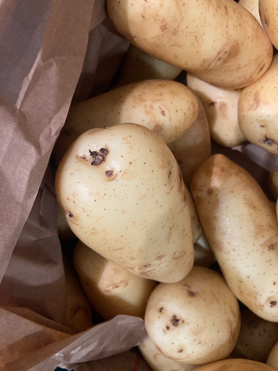 Blackthorncox's tweet photo. If that wasn’t bad enough we also had sprouted Maris Piper at the same store from Israel priced at £2,000 per tonne. This is not any old disgrace this is an M&amp;S disgrace. #farming #potatoes #ukfood #ripoffbritain https://t.co/vFPJu2ZYOT