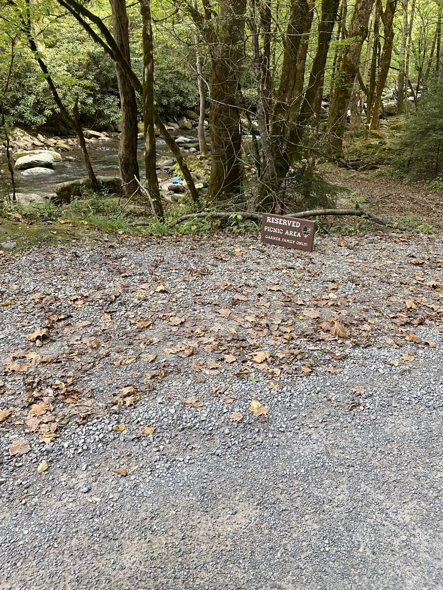 ⁦<a href="/GreatSmokyNPS/">GreatSmokyNPS</a>⁩ is this an authorized sign?  Can someone reserve a pull-off on Tremont Rd?  Saw this today.