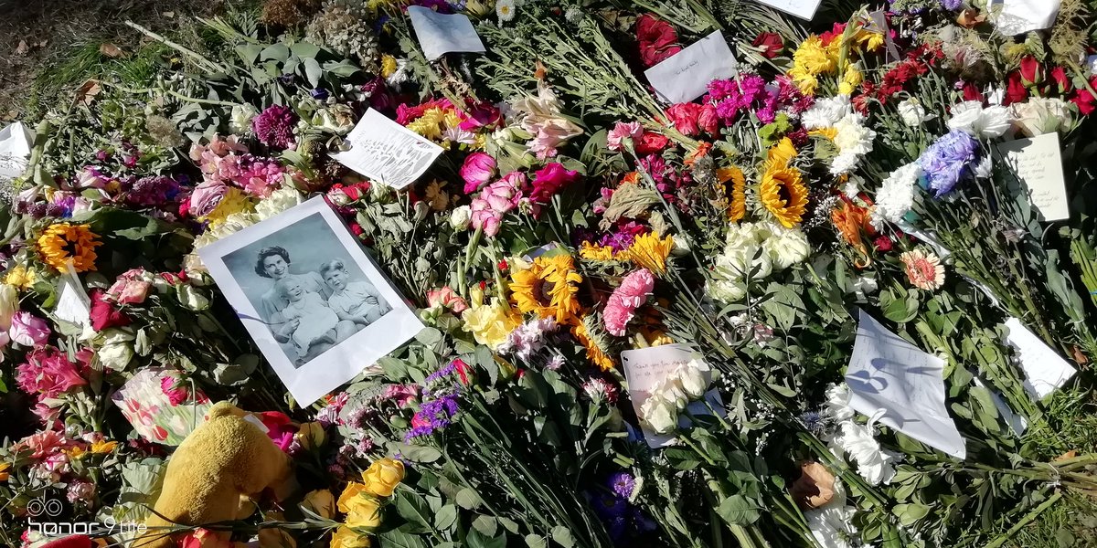 Philip Rushbrook tweet media