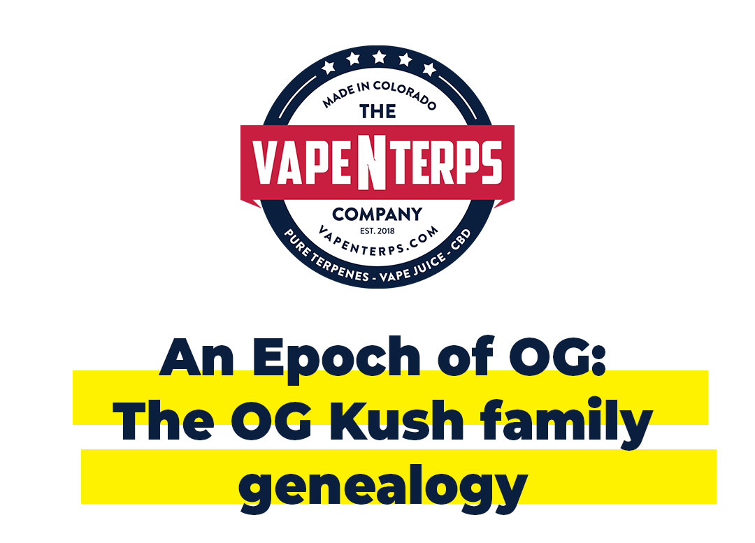 vapenterps's tweet photo. The OG Kush family genealogy. - https://t.co/laSpHcW7ZV https://t.co/6Pe1WoOgSi
