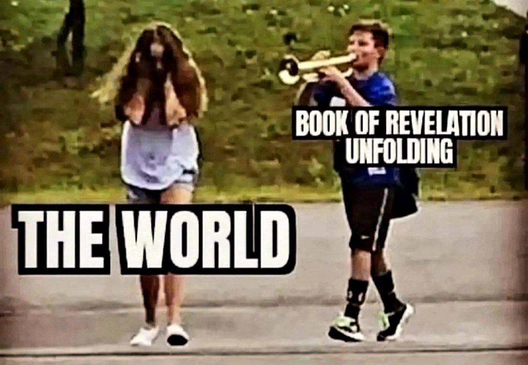 bookie808's tweet photo. 🎺 https://t.co/6G639joFVa