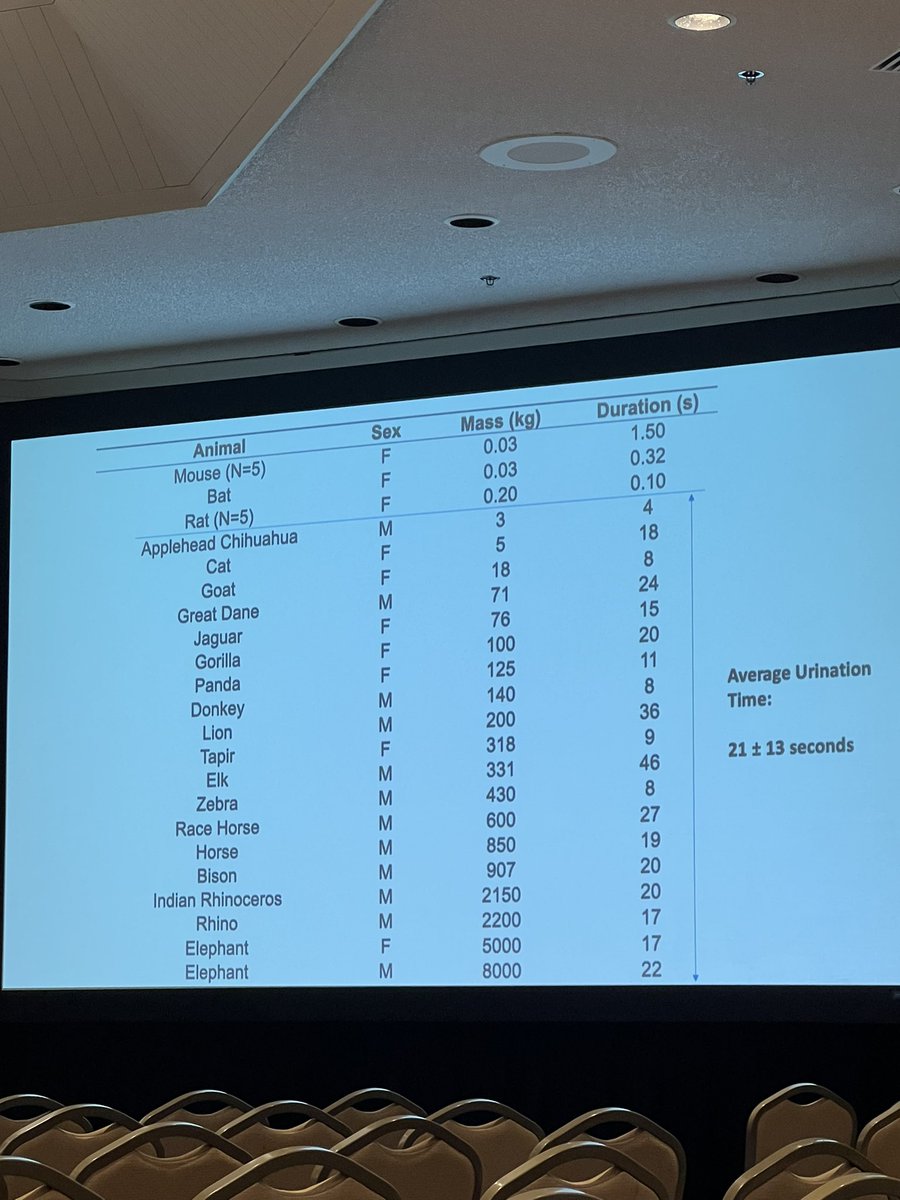 A delightfully urology-relevant talk by <a href="/drdavidhu/">David L. Hu</a> on what surgeons can learn from the animal kingdom at #SAAS2022  by <a href="/AsianAcadSurg/">SocAsianAcadSurg</a>. Here <a href="/kvnkoo/">Kevin Koo</a> contextualize on how findings may one day improve management of urethral stricture disease. <a href="/MayoUrology/">Mayo Clinic Urology</a>