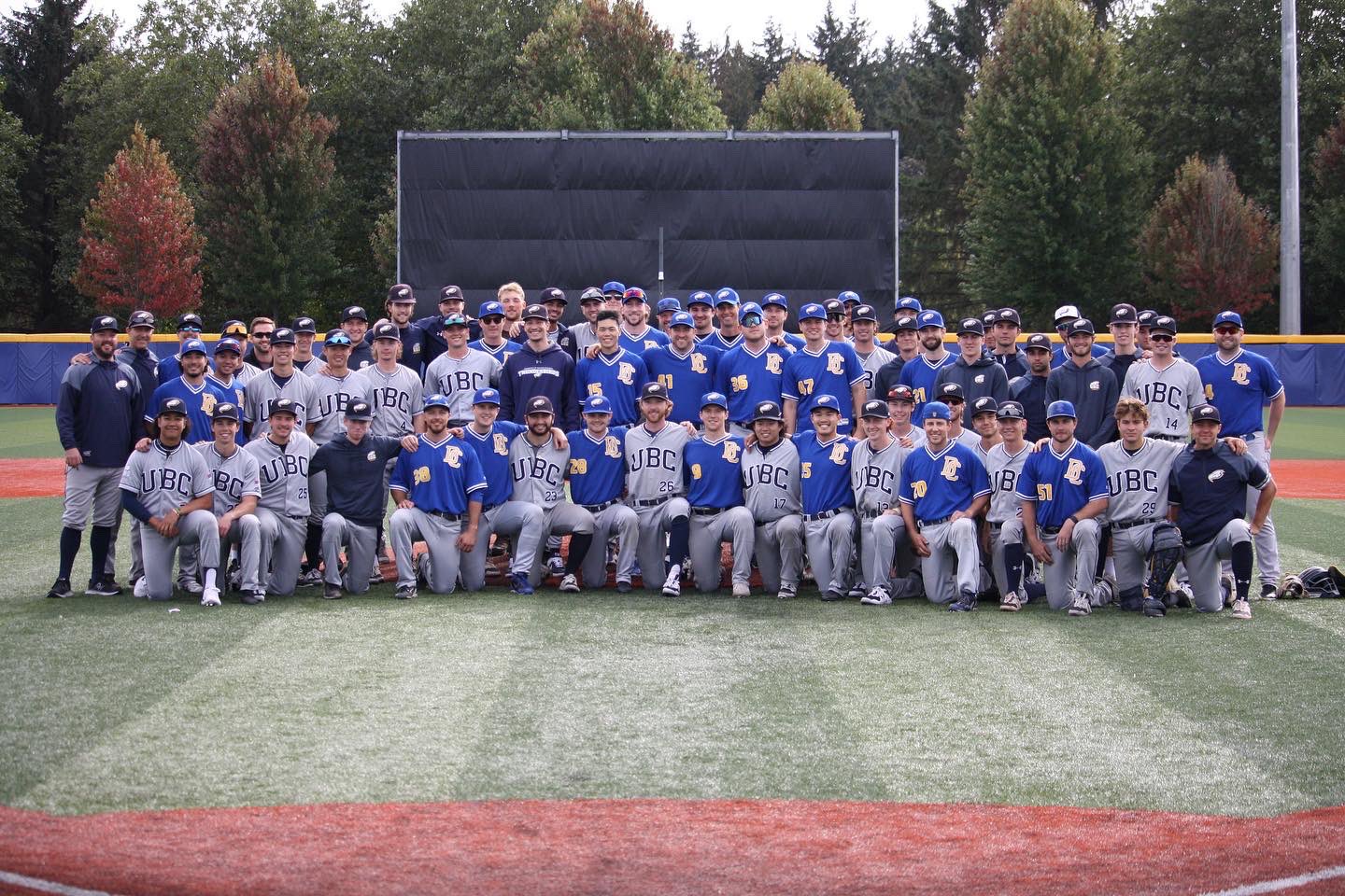 UBC Baseball on Twitter "Past 🤝 Present GoBirdsGo https//t.co