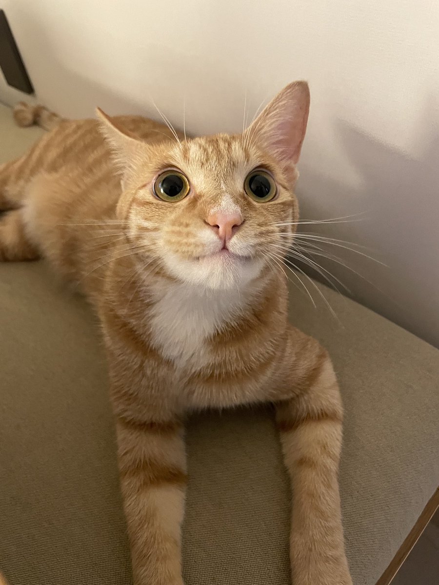 은근히 웃고 있음......