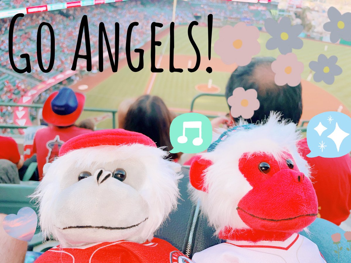 CAHonu's tweet photo. @Angels #GoHalos https://t.co/Os3OItiR5i
