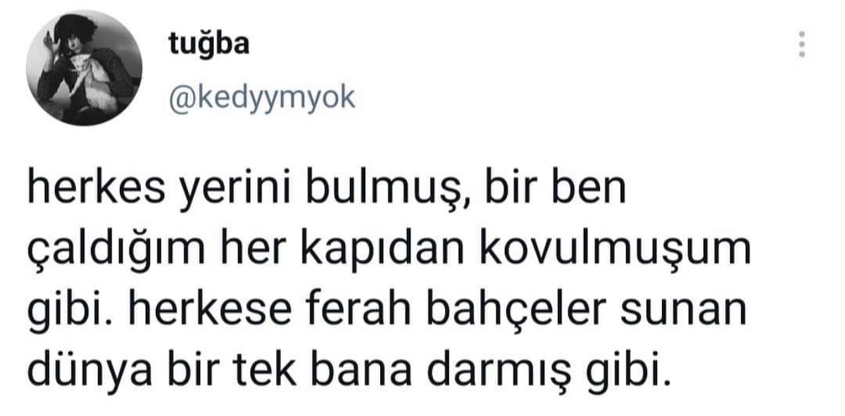 Alnı Öpülesi Tivitler tweet media