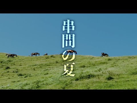 kaga5298's tweet photo. 野生の馬がいる楽園 串間市の旅 いしかわ観光特使 番外編
https://t.co/5e8qOEhB6L

#串間市
#いしかわ観光特使
#都���岬
#野生の馬 https://t.co/mR5QWKhRVZ