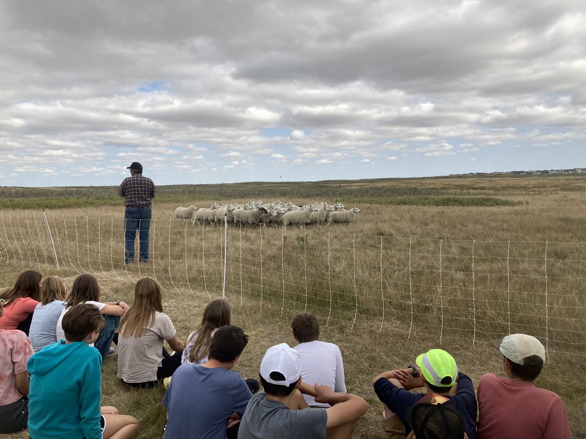 A foggy start to the day……how perfect to explore the water cycle today!  Not only the water cycle but getting down to heart of our watershed and learning about the importance of the N.E. Swale and the work Meewasin does. <a href="/Meewasin/">Meewasin</a> <a href="/SKRiverBasin/">PFSRB</a> <a href="/MontgomeryElem1/">Montgomery Elementary School</a>