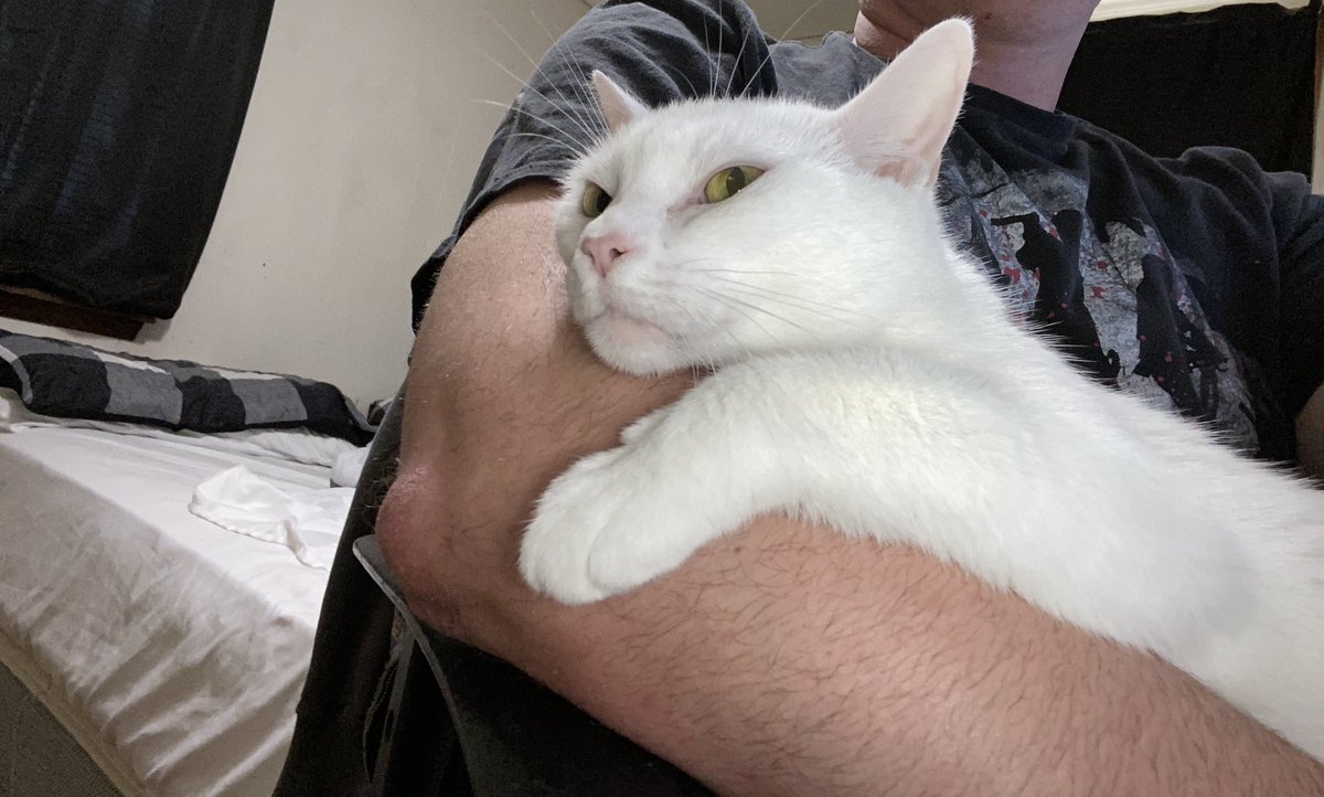 Blanca and Drusilla tweet media