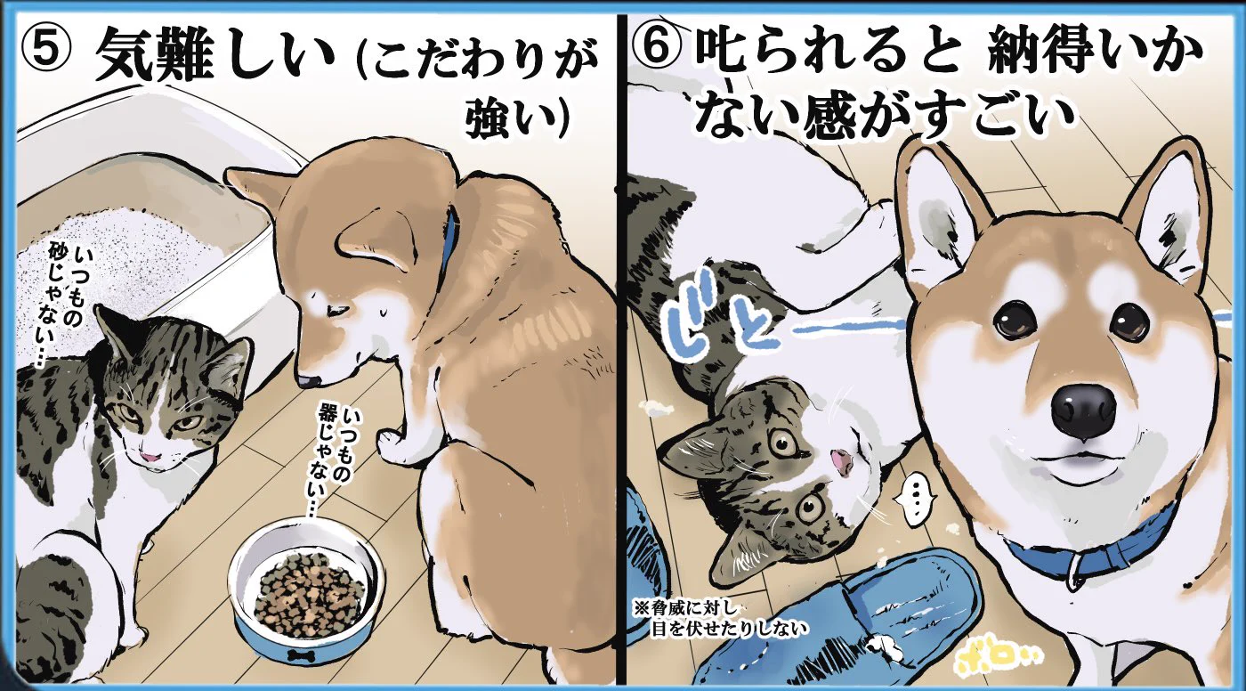 こんなにも共通点が･･･！「柴犬」と「猫」の共通点をイラスト付きで紹介したツイートが話題に！