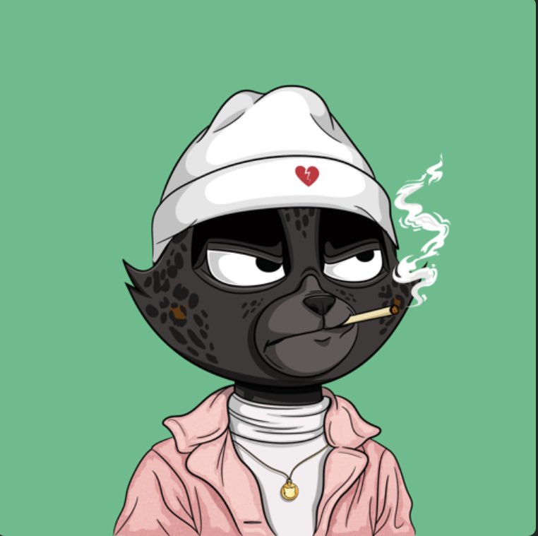 Are <a href="/BVDCAT_/">BVD</a> following each other?