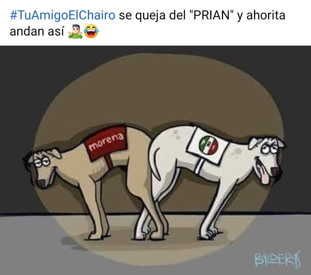 ªmªrgªdº pºlîtîcº tweet media