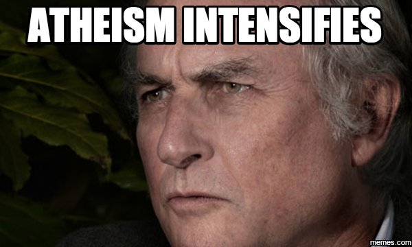 lumpy_speedbump's tweet photo. Every time I see an ad for St Jude: https://t.co/YU0AYEcmaL