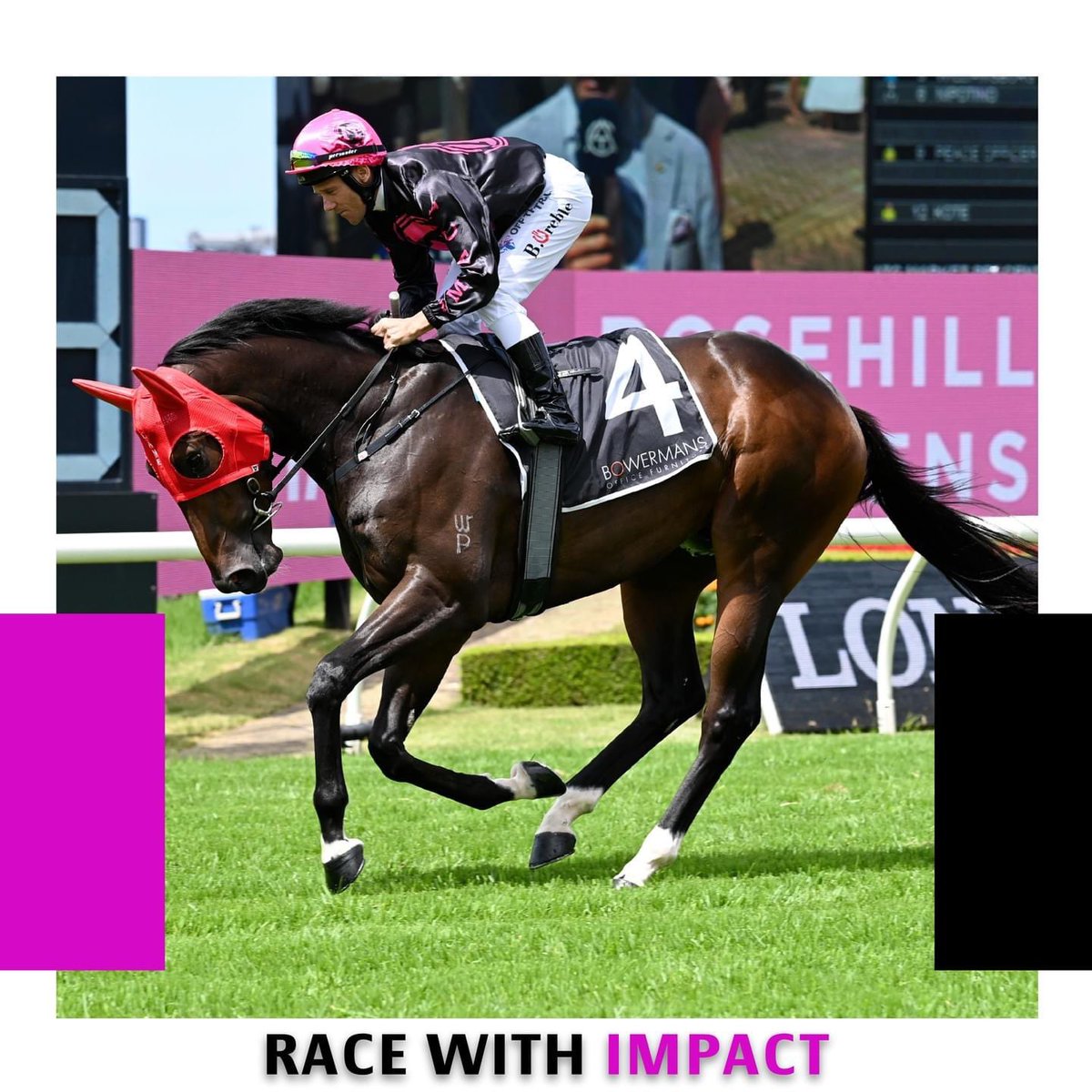 racewithimpact's tweet photo. WEALTHY INVESTOR
(Capitalist x Princess Layla)
Where will the Rubick x Princess Layla21 land in 2023? We will watch with interest
#capitalist @WyongRaceClub #damienlaneracing #magicmillions #inglis @WillowParkStud #willowparkstud #fastnetrock https://t.co/8JBmEQJAwY