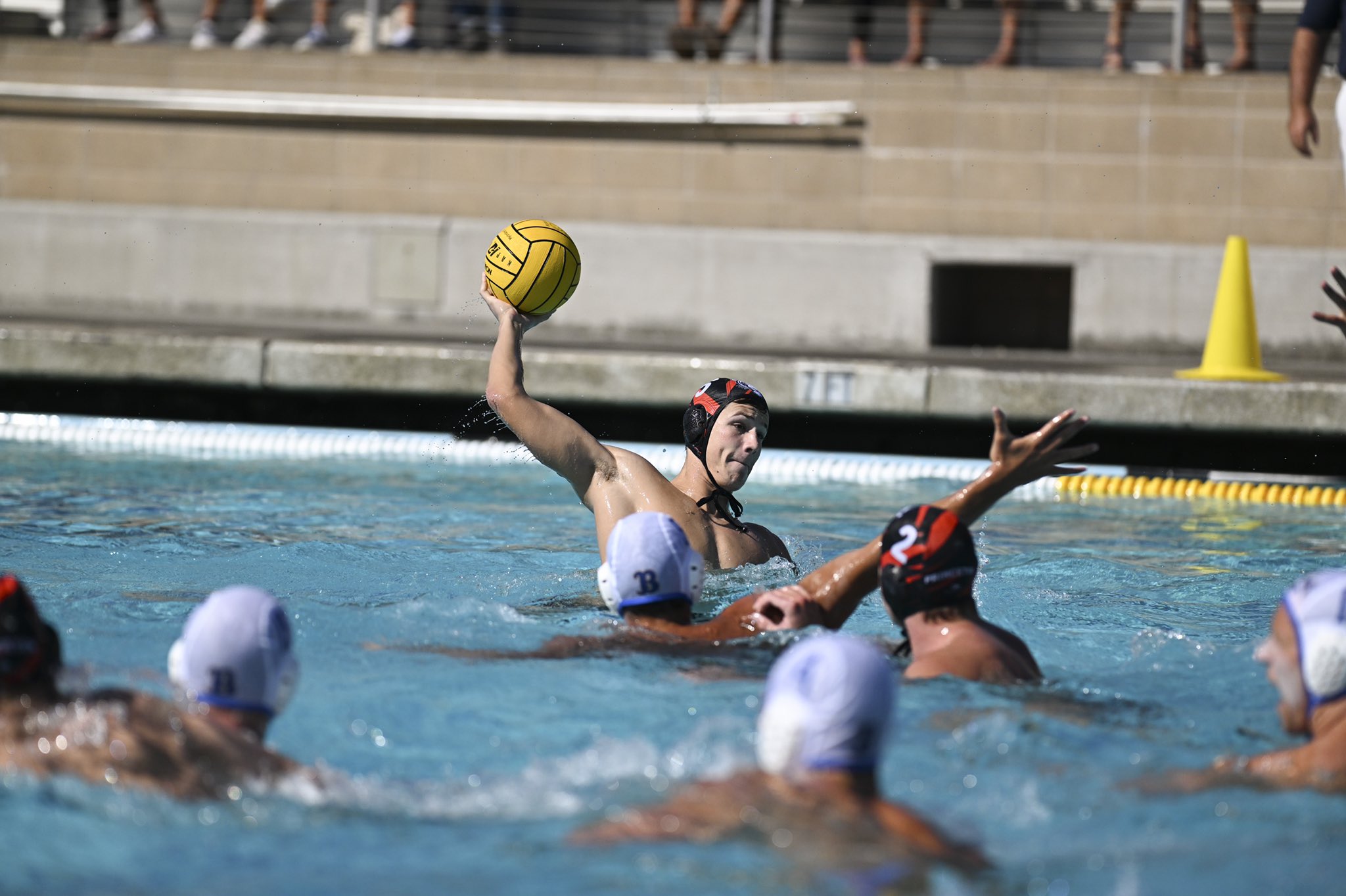 Princeton Water Polo (Pwaterpolo) / Twitter