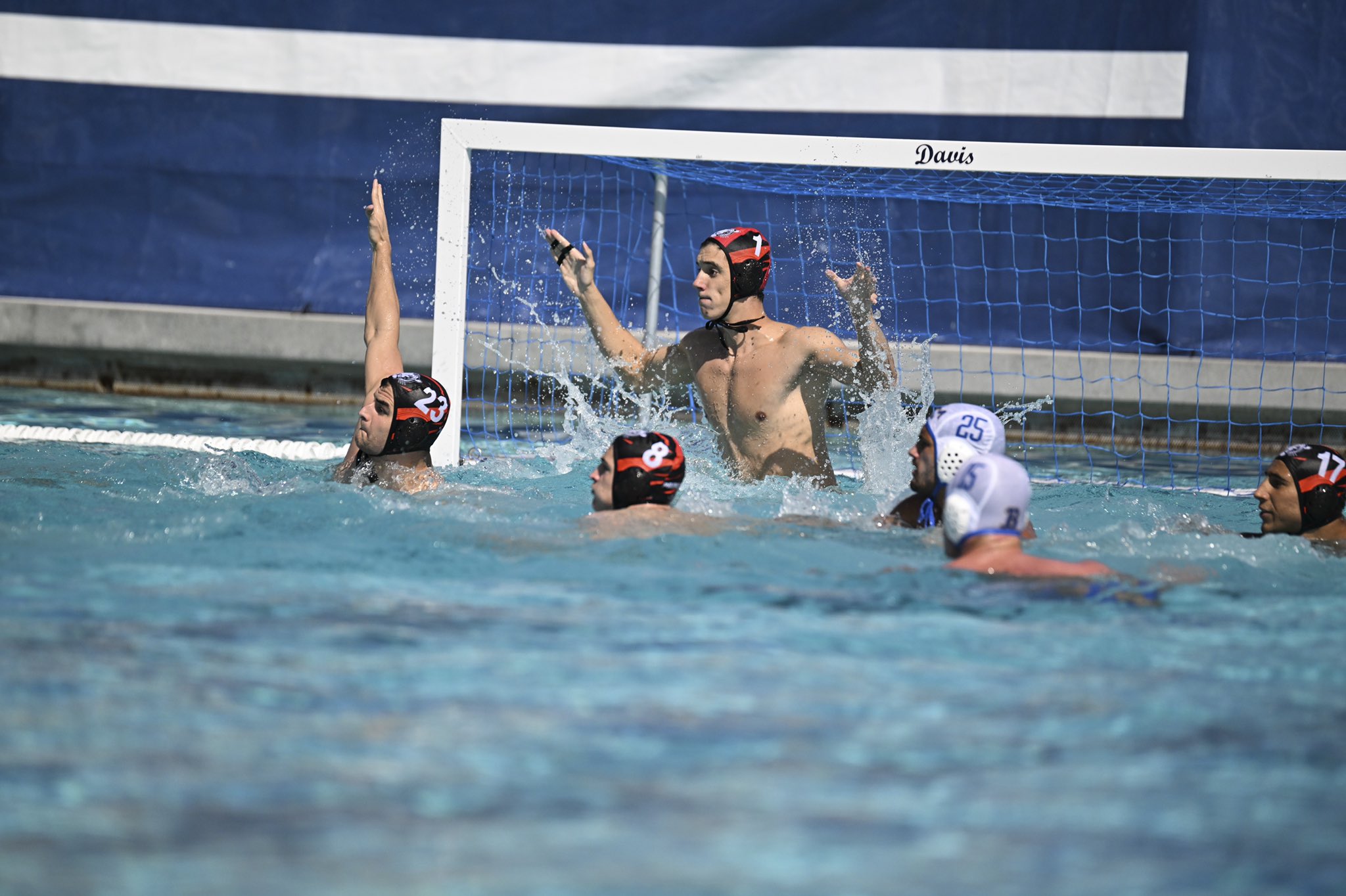Princeton Water Polo (Pwaterpolo) / Twitter