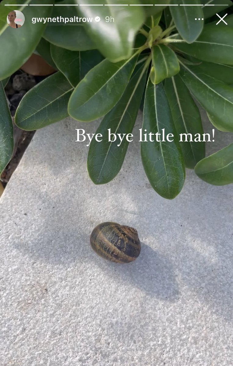gwyneth paltrow setting a snail free in her garden